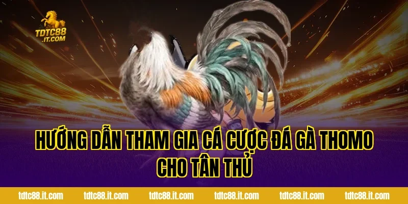 Hướng dẫn tham gia cá cược đá gà Thomo cho tân thủ